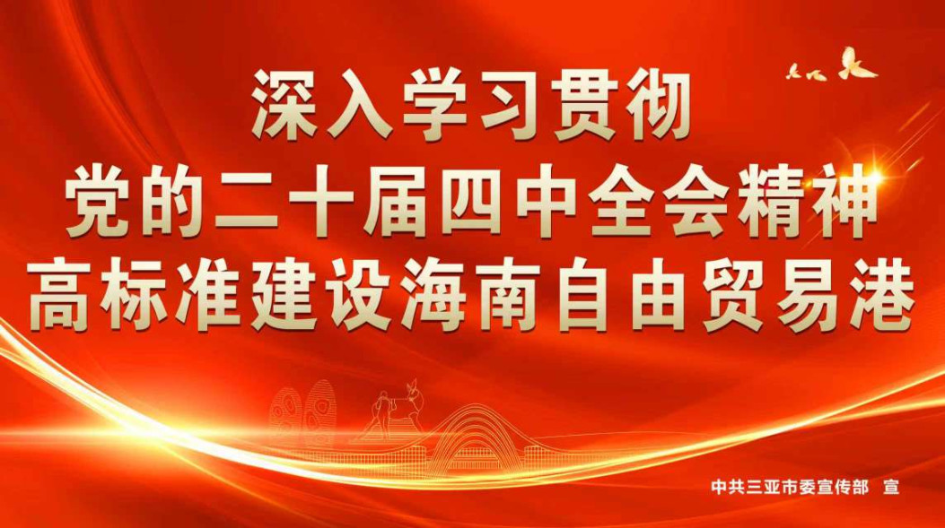 深入学习贯彻党的二十届四中全会精神  高标准建设海南自由贸易港